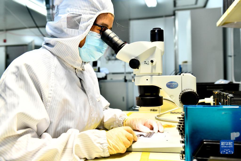 捕鱼大作战外挂下载